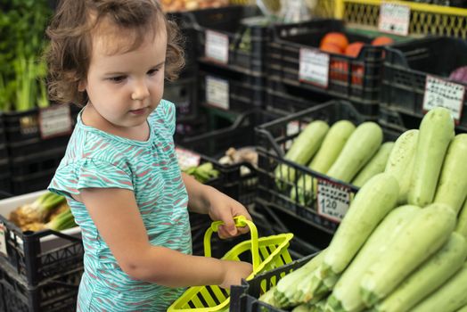 Child collect zucchini in basket. Kid shopping in vegetable market. 