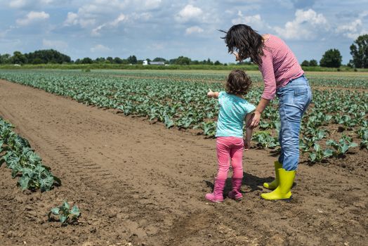 Woman and child on cabbage plantation. Agriculture concept with mother and child farmers.