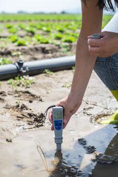 Woman mesures irrigation water with digital PH meter in water puddle. Lettuce plants and pipes.