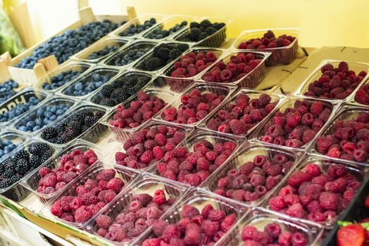 Raspberries and blueberries on shelf in the market. Sorted fruits in transparent plastic boxes.