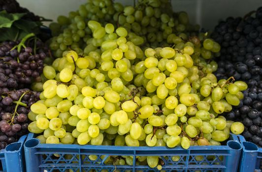 Grapes on shelf in the market. Crates with grape.