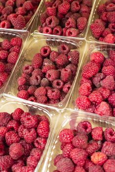 Raspberries on shelf in the market. Sorted fruits in transparent plastic boxes.