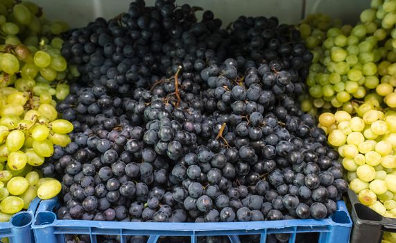 Grapes on shelf in the market. Crates with grape.