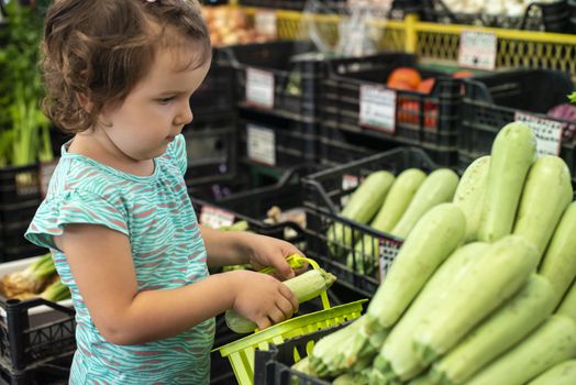 Child collect zucchini in basket. Kid shopping in vegetable market. 