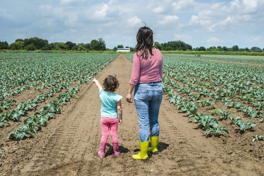 Woman and child on cabbage plantation. Agriculture concept with mother and child farmers.