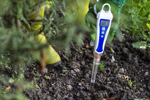 PH meter tester in soil. Measure soil with digital device. Woman farmer in a garden.