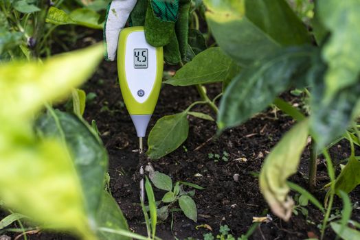 Moisture meter tester in soil. Measure soil for humidity with digital device.  Concept for new technology in the agriculture.