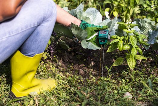 Moisture meter tester in soil. Measure soil for humidity, nitrogen and HP with digital device. Woman farmer in a garden. Concept for new technology in the agriculture.