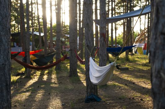 Hammocks on trees in the forest. Sunshine morning in the forest. Many hammocks. Rest outdoor concept.