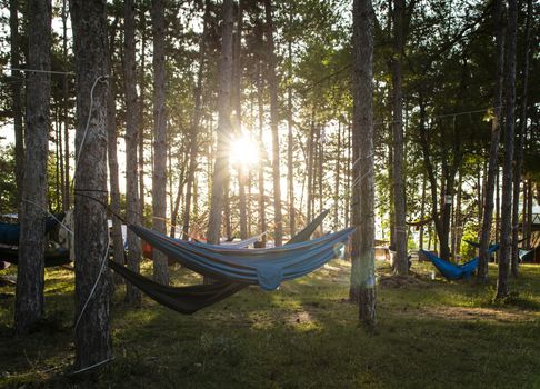 Hammocks on trees in the forest. Sunshine morning in the forest. Many hammocks. Rest outdoor concept.