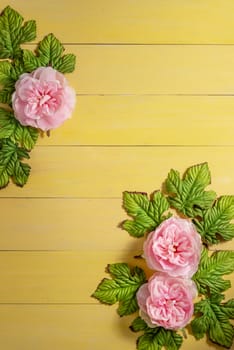 top view beautiful flowers with leaves on wooden background