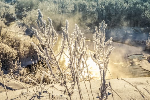 Winter sunny landscape with river and forest.