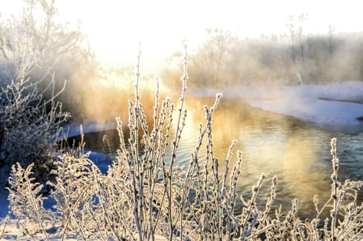 Winter sunny landscape with river and forest.