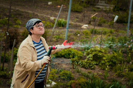 gardening and people concept - happy senior woman watering lawn by garden hose with sprayer at autumn