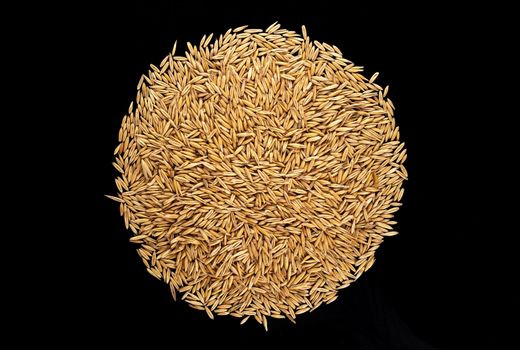 Pile of oat grains isolated on black background. Top view