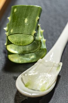 Aloe vera slices on dark background and spoon with aloe gel. Health and beauty concept. Closeup aloe pieces on backlight.