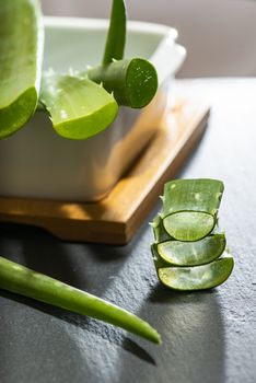 Aloe vera slices on dark background. Health and beauty concept. Closeup aloe pieces on backlight.