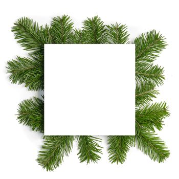 Christmas border arranged with fresh fir branches isolated on white background , copy space for text