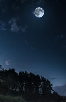 Moon and clouds in the night. Moonlight  in the forest. Copy space background. Dark blue backdrop.