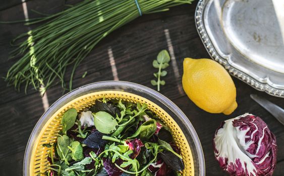 Spring green salad of baby spinach, herbs, arugula and lettuce. Dressing of yogurt, olive oil, honey and lemon.Vegetables for preparing salad on dark table.Concept for healthy food and diet.