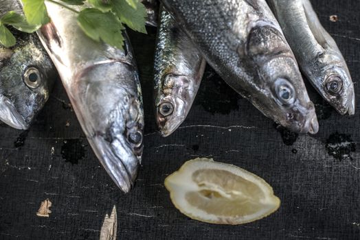 Raw fish. Sea bream, sea bass, mackerel and sardines on dark background. Lemon and herbs near the fishes. Natural light. Close-up shot.