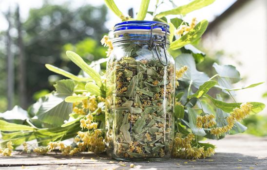 Jar with Linden blossom. Wooden table in the garden. Linden blossom bench