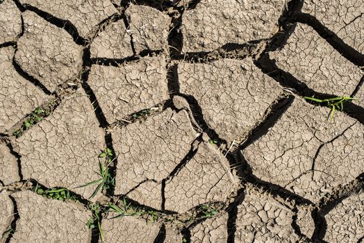 Cracked soil from drought