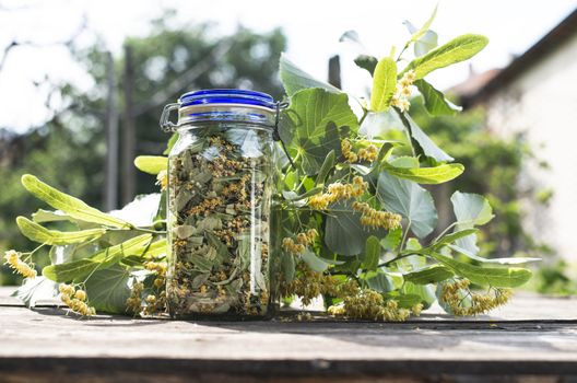 Jar with Linden blossom. Wooden table in the garden. Linden blossom bench