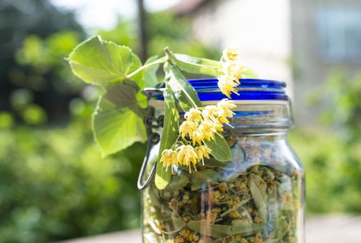 Jar with Linden blossom. Wooden table in the garden. Linden blossom bench