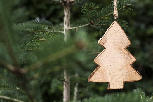Christmas tree shape hooked on fir tree