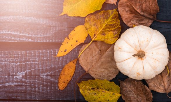 Fall Thanksgiving and Halloween pumpkins and dry leaves on wooden background, top view shot