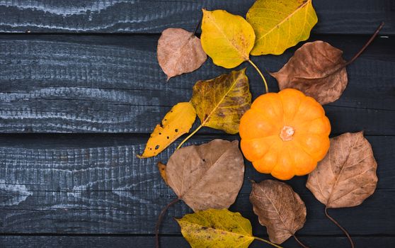 Fall Thanksgiving and Halloween pumpkins and dry leaves on wooden background, top view shot