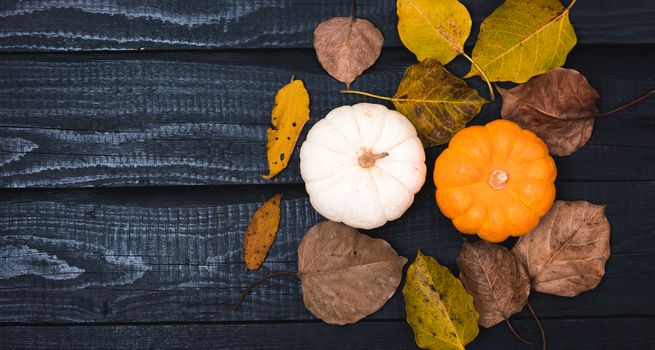 Fall Thanksgiving and Halloween pumpkins and dry leaves on wooden background, top view shot