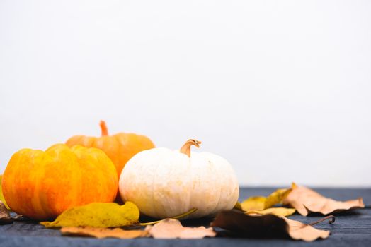 Fall Thanksgiving and Halloween pumpkins, dry leaves on white wall background