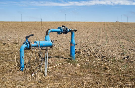 Agriculture pipes and tap water for watering plants