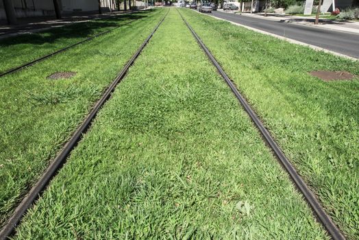 Tramways and green lawn in the city