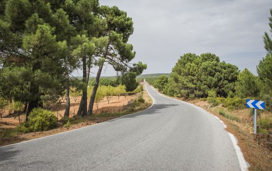 Road in the mountain. Dramatic scene