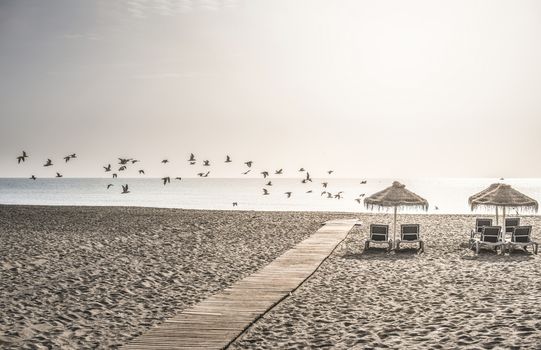 Wooden path to the beach, umbrellas and birds