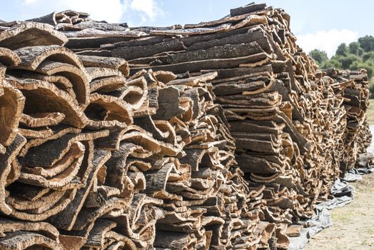 Pile of bark from cork tree