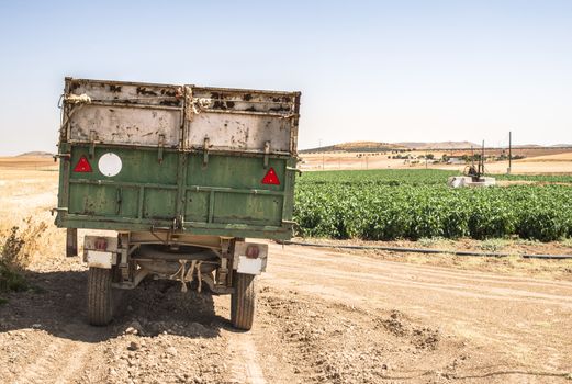 Trailer of a tractor in the field and agricultural plantations