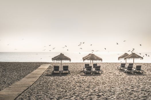 Wooden path to the beach, umbrellas and birds