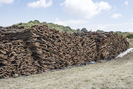 Pile of bark from cork tree