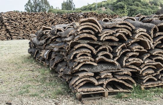 Pile of bark from cork tree