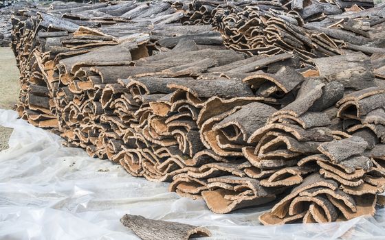 Pile of bark from cork tree