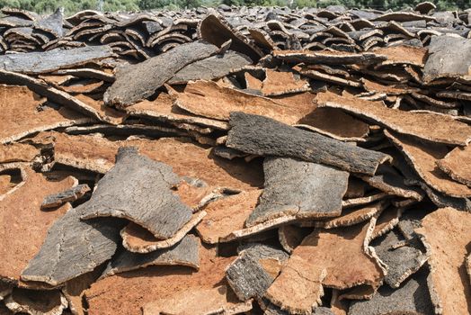 Pile of bark from cork tree