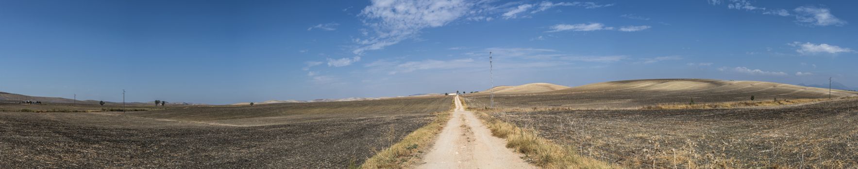 Vintage dirt road and blue sky. Panoramic