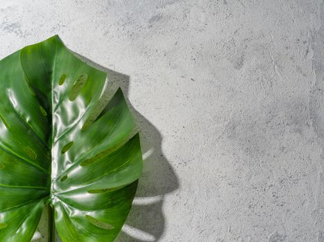 Monstera leaf on gray stone background. Tropical plant monstera in hard light. Copy space for text. Creative layout monstera leaves decorating for composition design, wallpaper