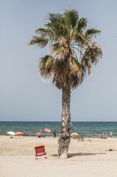 Palm and many people on the beach. Spain