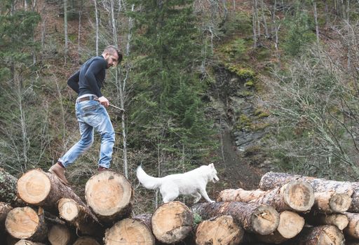 Young man and dog on logs in the forest. Fashion style