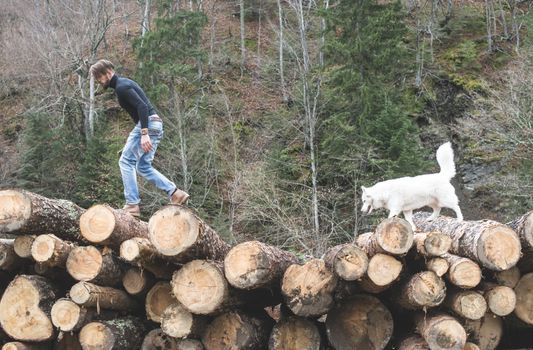 Young man and dog on logs in the forest. Fashion style